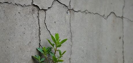 Como o bio concreto reage com umidade e se regenera