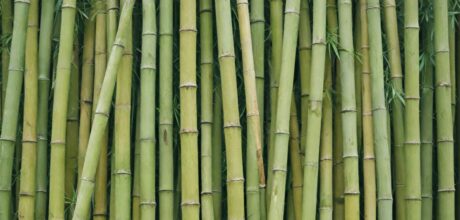 Materiais ecológicos para construção civil: Como bambu e terra crua estão revolucionando o setor
